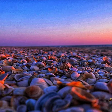 Appartement Im Haus Nordland Nordland, App,103 Hund *